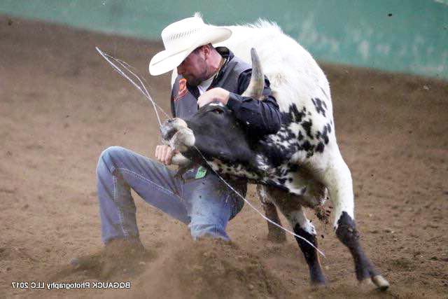 photo of CWC rodeo cowboy Kyle Choate grasping a steer by the horns in the steer wrestling event